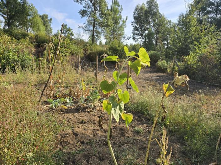 Image No.40-Land for sale