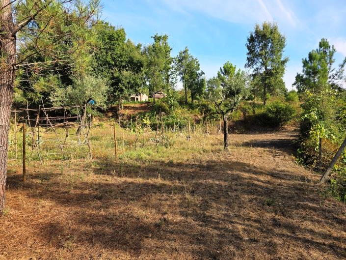 Image No.42-Land for sale