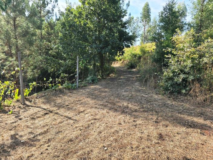 Image No.43-Land for sale