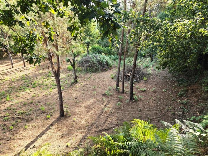 Image No.44-Land for sale