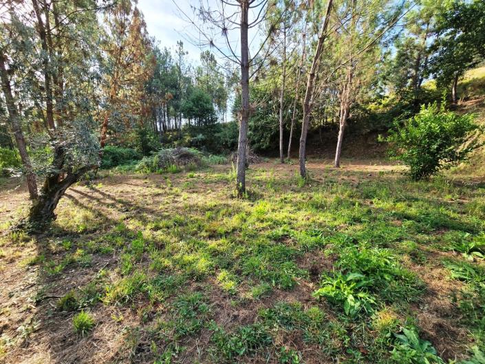 Image No.47-Land for sale