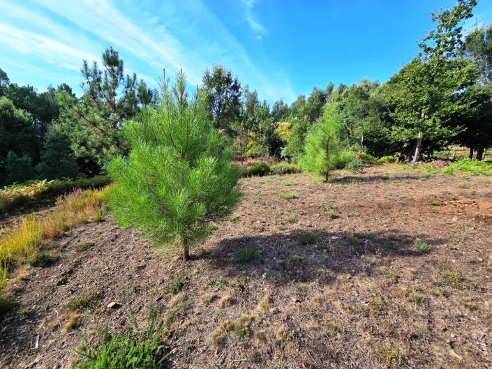 Image No.48-Land for sale