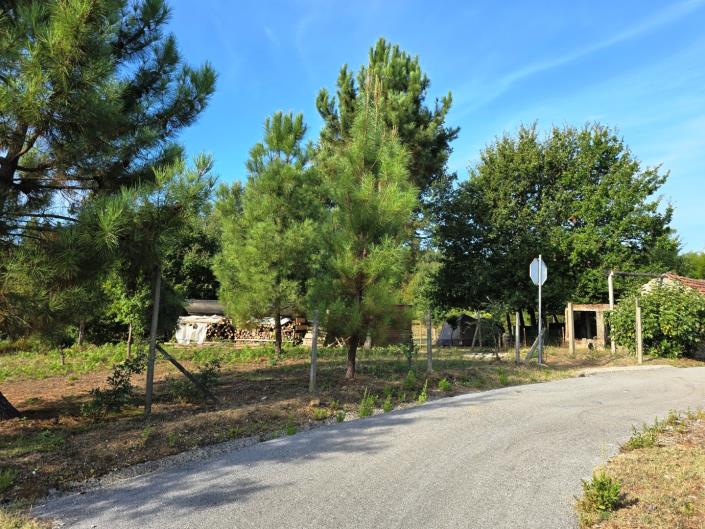 Image No.49-Land for sale