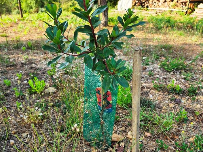 Image No.50-Land for sale