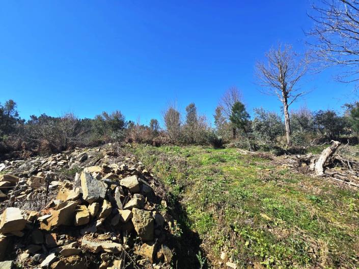 Image No.4-Land for sale