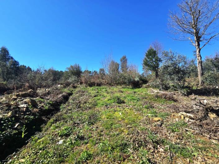 Image No.6-Land for sale