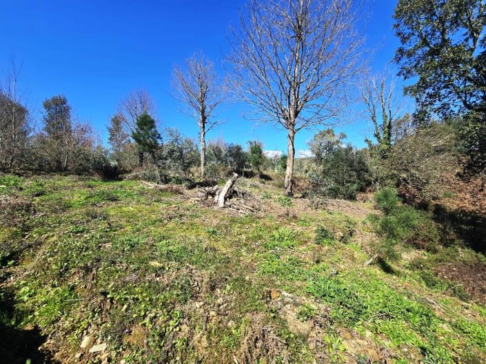 Image No.5-Land for sale