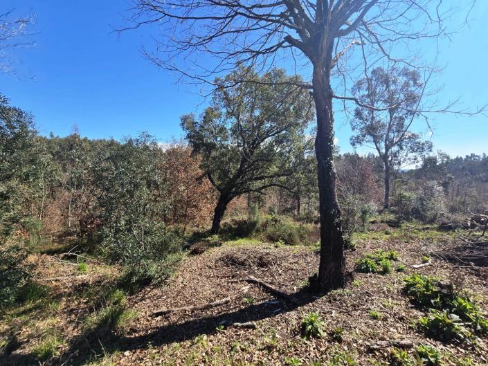 Image No.7-Land for sale