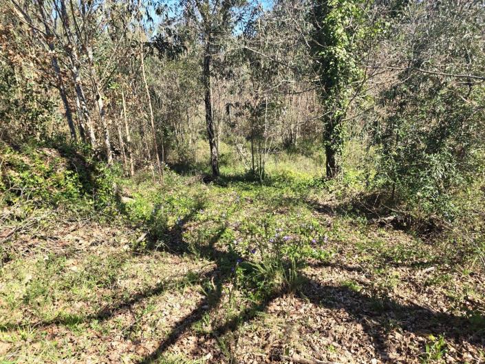 Image No.9-Land for sale