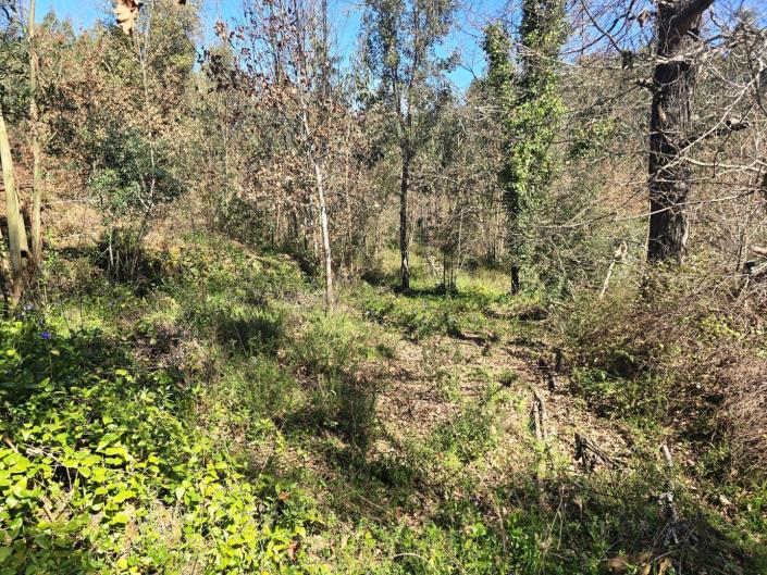 Image No.14-Land for sale