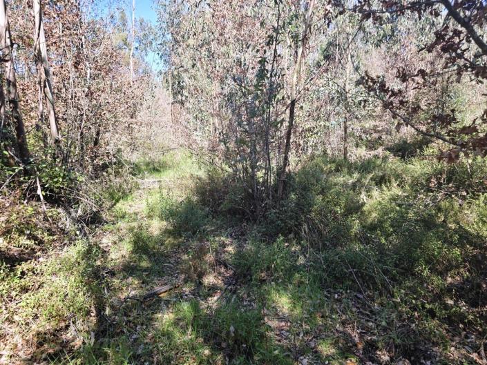 Image No.15-Land for sale