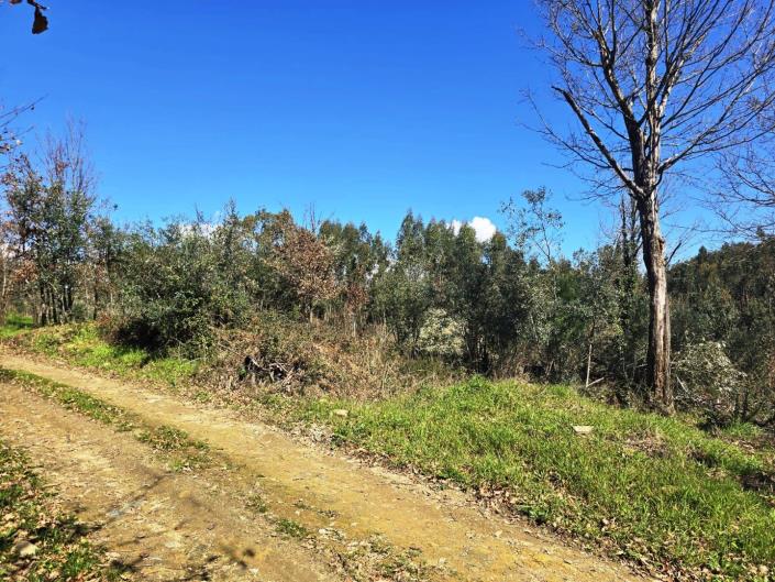 Image No.16-Land for sale