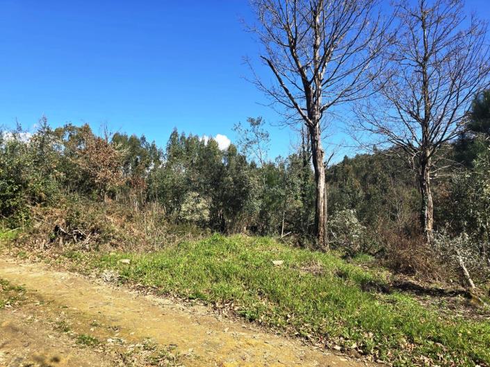 Image No.17-Land for sale