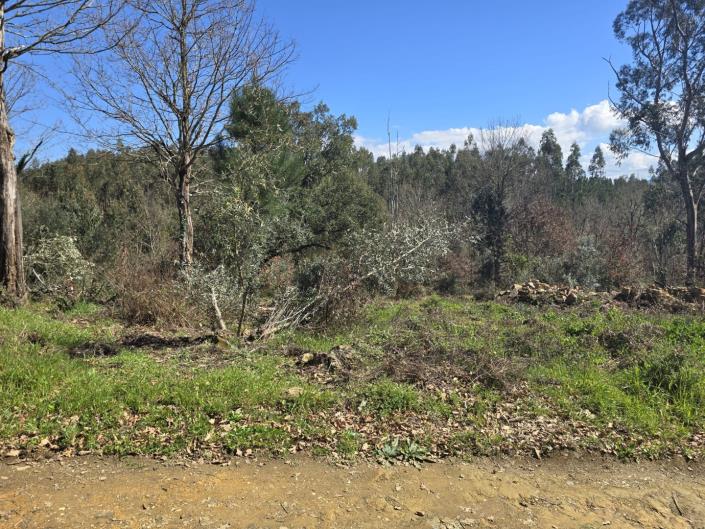 Image No.18-Land for sale