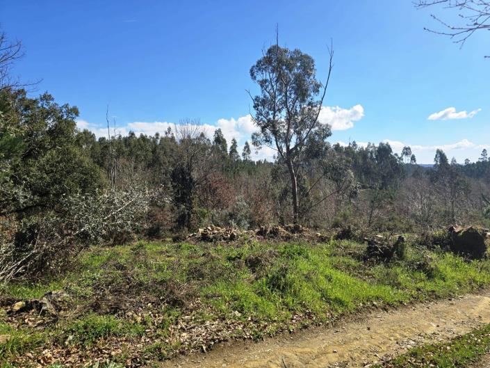 Image No.19-Land for sale