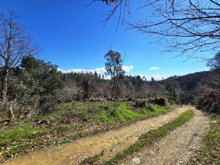 Image No.20-Land for sale