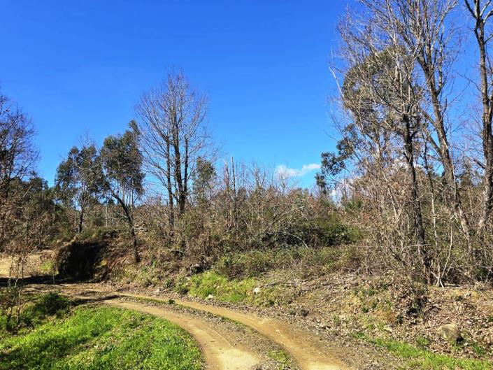 Image No.26-Land for sale