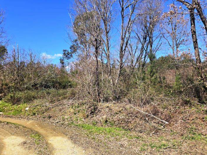 Image No.27-Land for sale