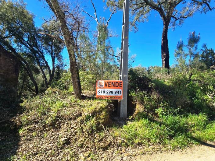 Image No.3-Plot for sale