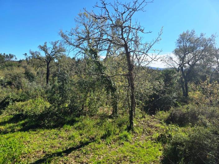 Image No.9-Plot for sale