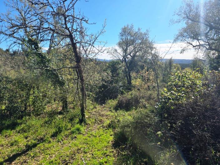 Image No.10-Plot for sale