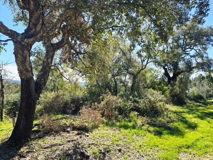 Image No.12-Plot for sale