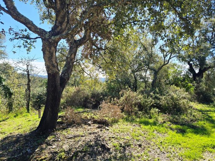 Image No.11-Plot for sale