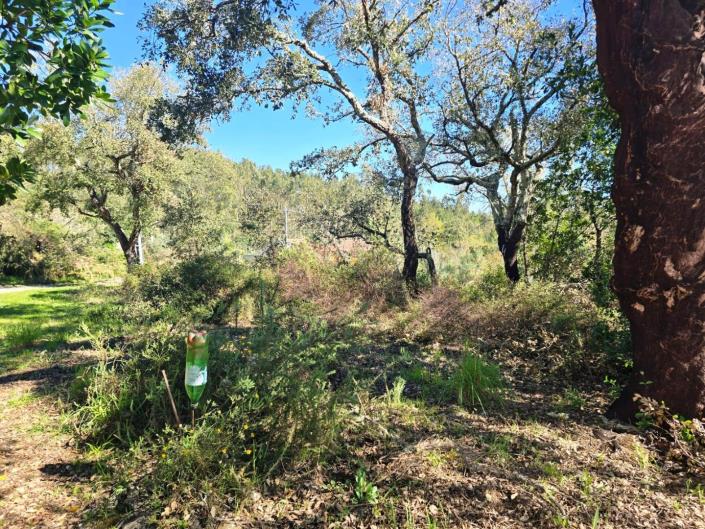 Image No.13-Plot for sale