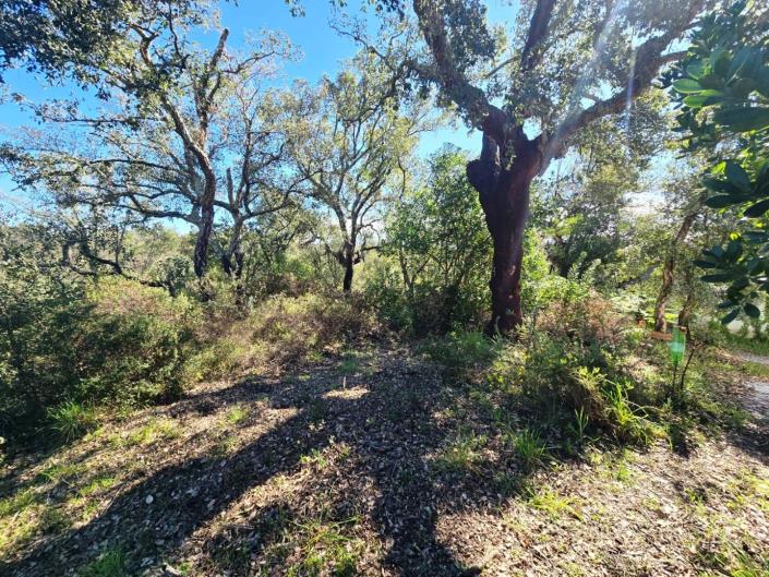 Image No.14-Plot for sale