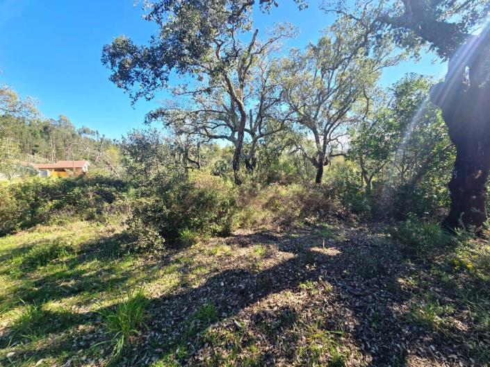 Image No.15-Plot for sale