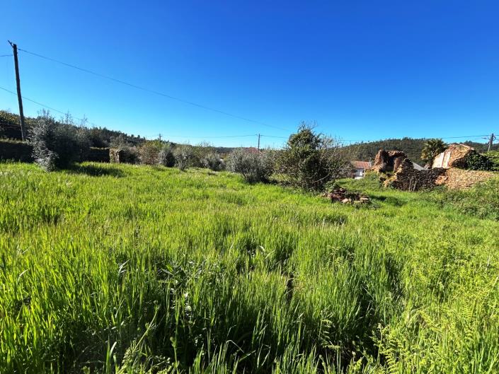 Image No.6-Terre à vendre à Pedrógão Grande