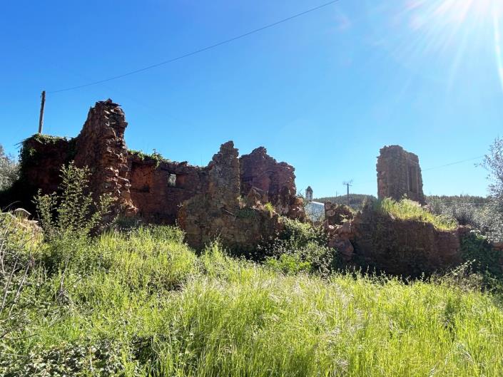 Image No.7-Terre à vendre à Pedrógão Grande