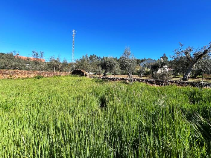 Image No.11-Terre à vendre à Pedrógão Grande