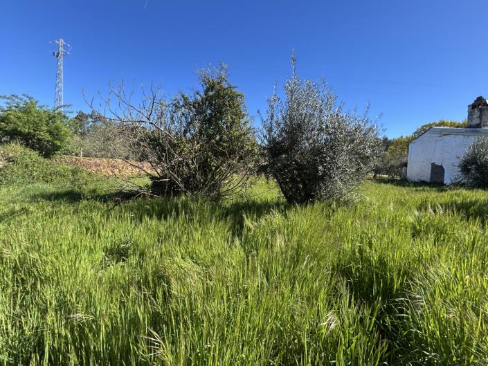 Image No.12-Terre à vendre à Pedrógão Grande