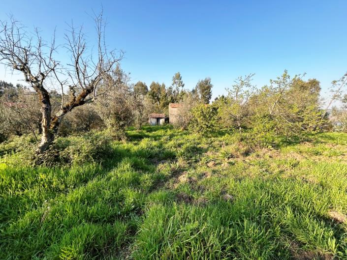 Image No.6-3 Bed Village House for sale