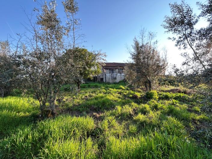 Image No.9-3 Bed Village House for sale