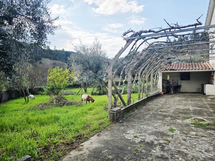 Image No.3-5 Bed House for sale