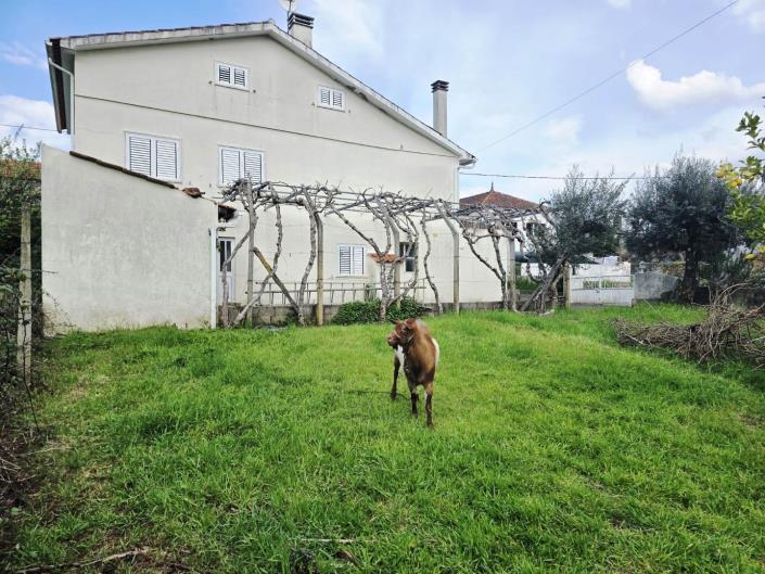 Image No.5-5 Bed House for sale