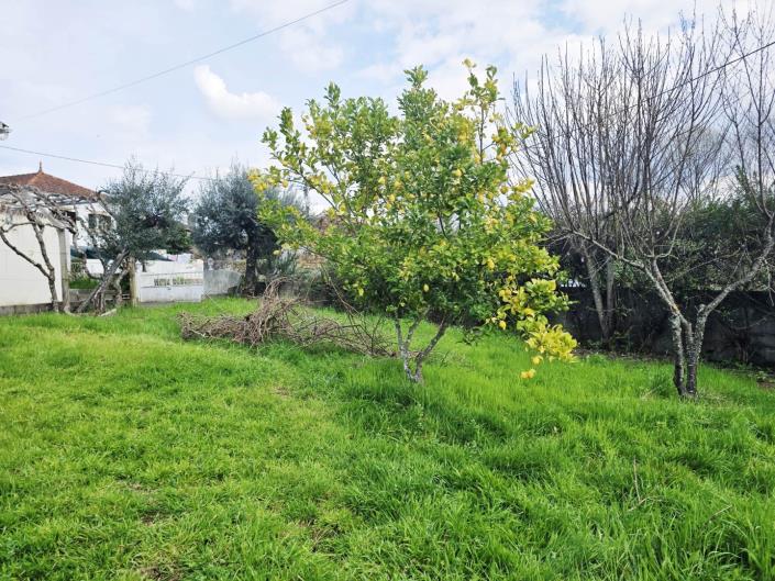 Image No.6-5 Bed House for sale