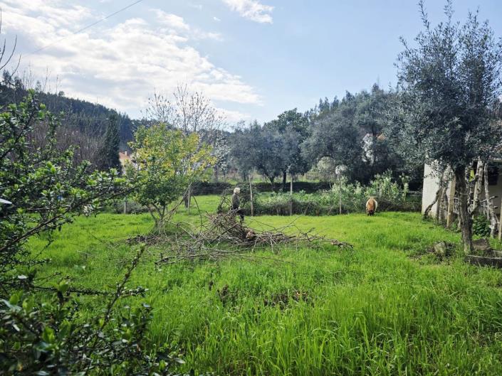 Image No.17-5 Bed House for sale