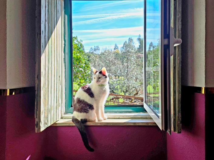 Image No.14-2 Bed Village House for sale