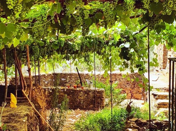 Image No.27-2 Bed Village House for sale