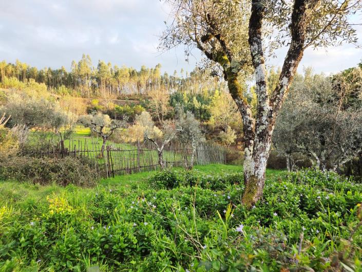 Image No.35-2 Bed Village House for sale