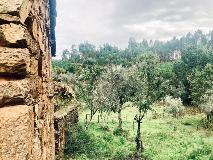 Image No.34-2 Bed Village House for sale