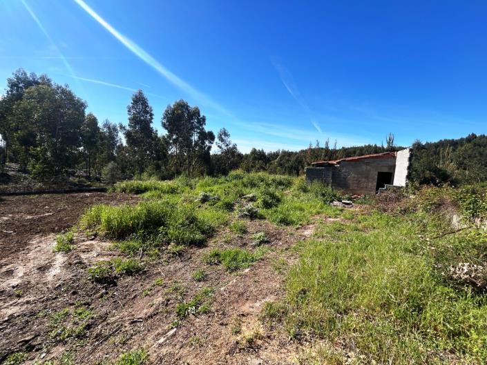 Image No.41-3 Bed House for sale