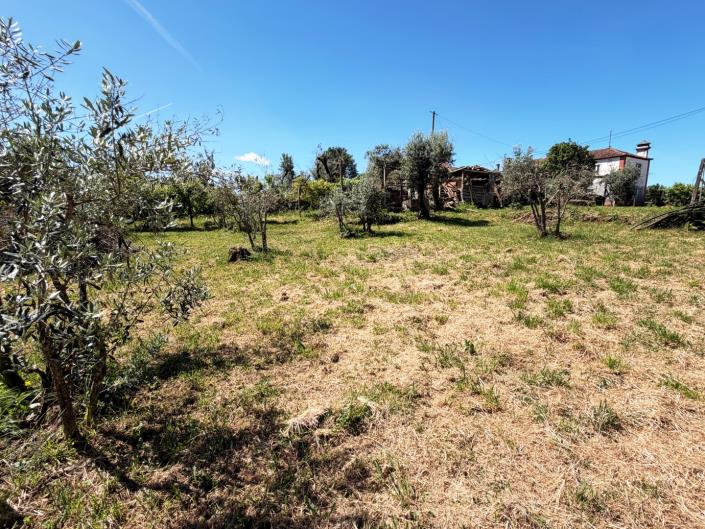 Image No.8-3 Bed House for sale