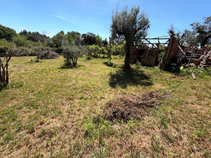 Image No.30-3 Bed House for sale