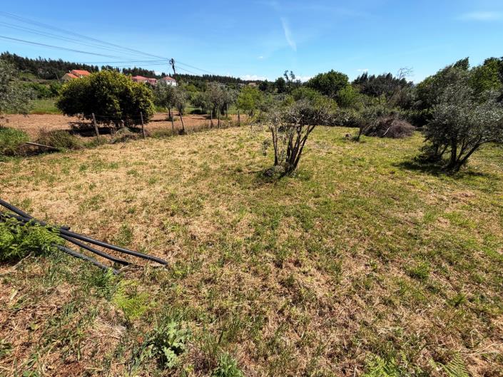 Image No.31-3 Bed House for sale