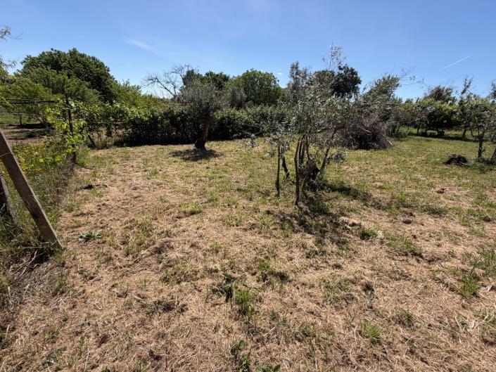 Image No.32-3 Bed House for sale