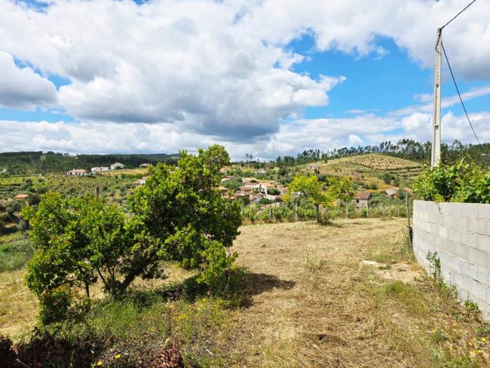 Image No.15-Vignoble à vendre à Proença-a-Nova